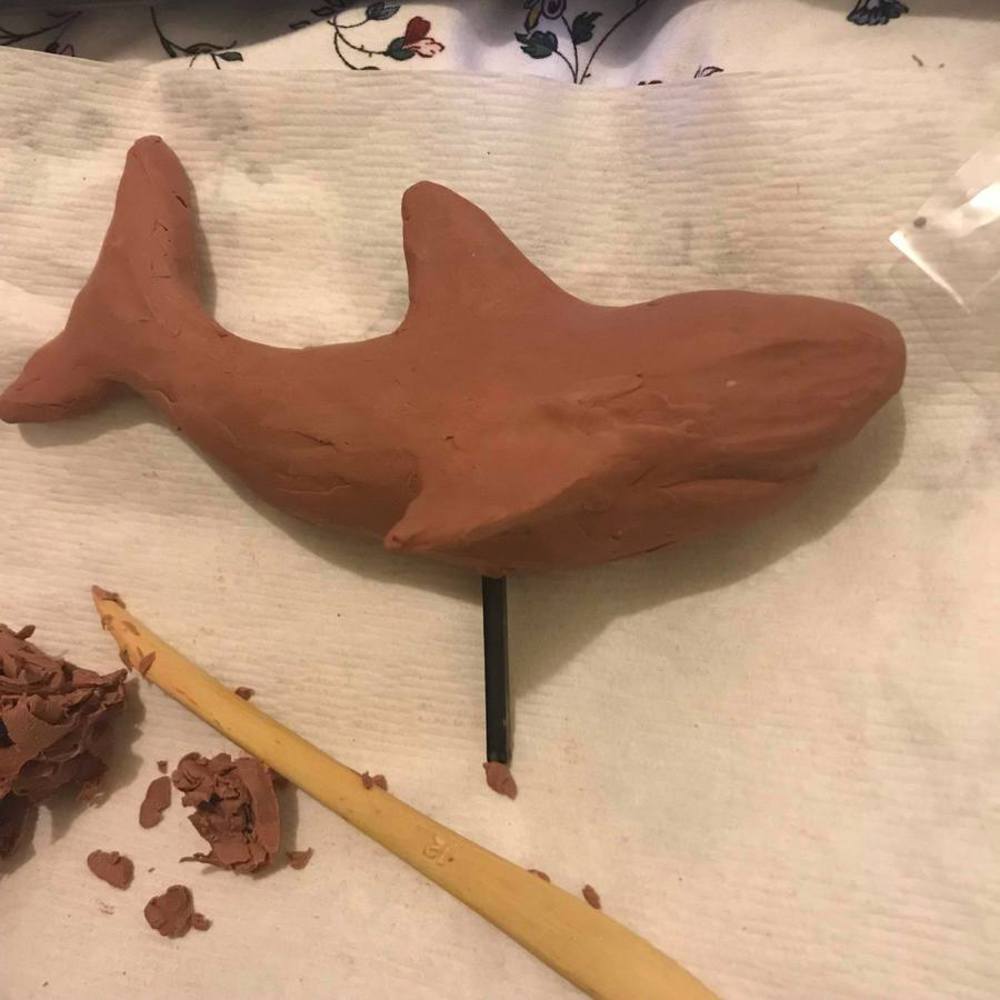 Shark progress 3.thumb