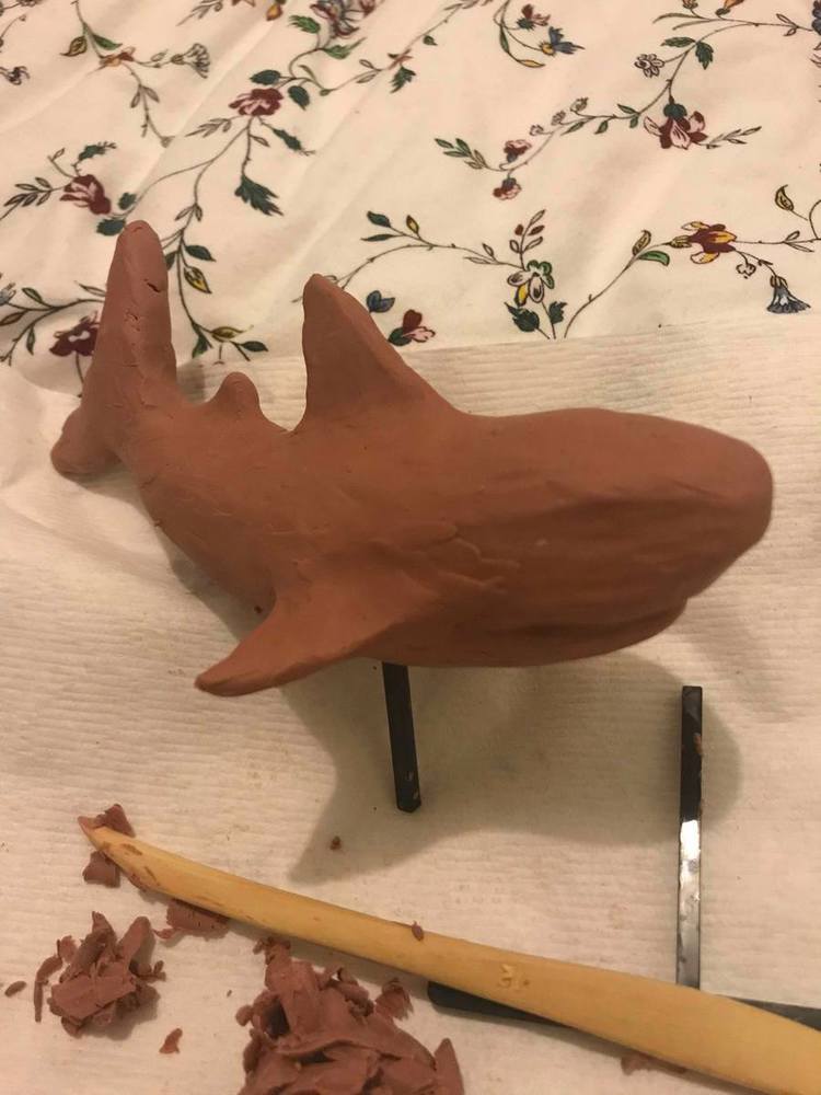 Shark progress 4.thumb