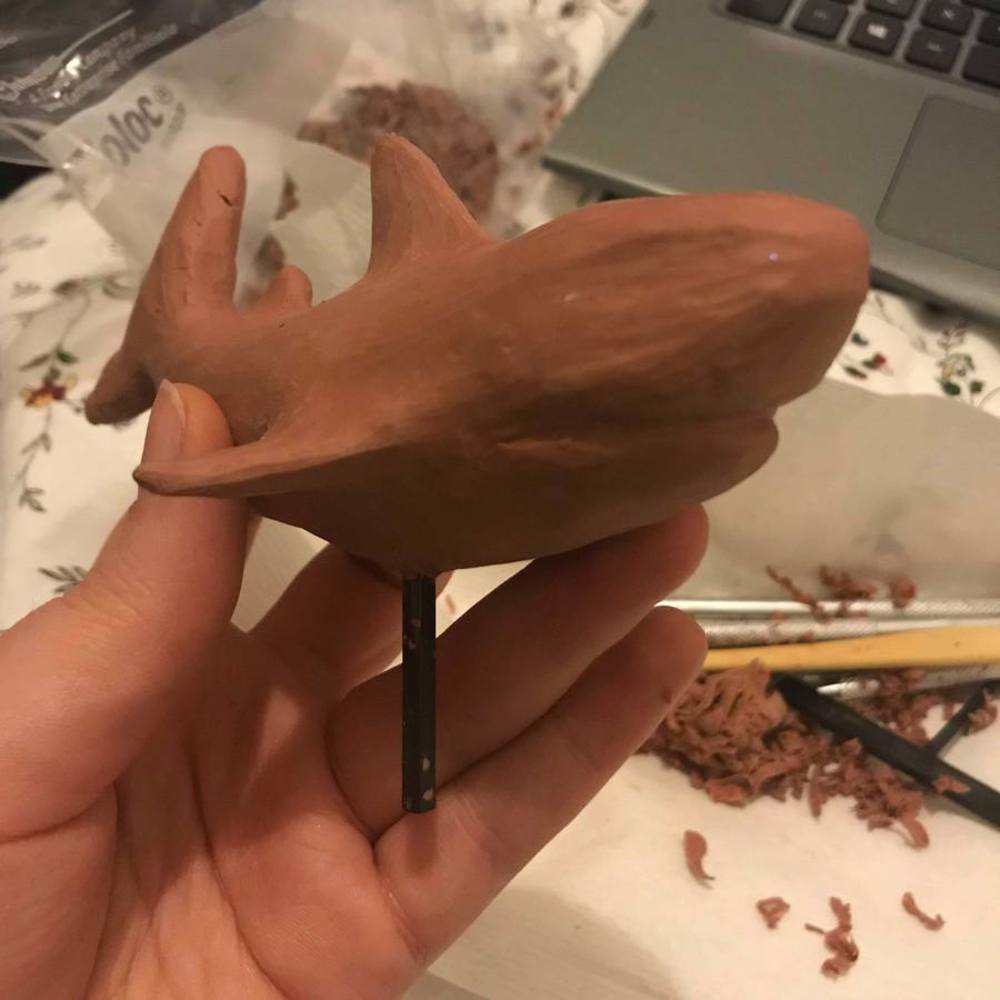 Shark progress 5.thumb