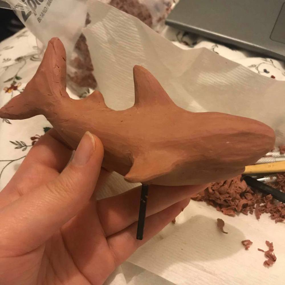 Shark progress 7.thumb