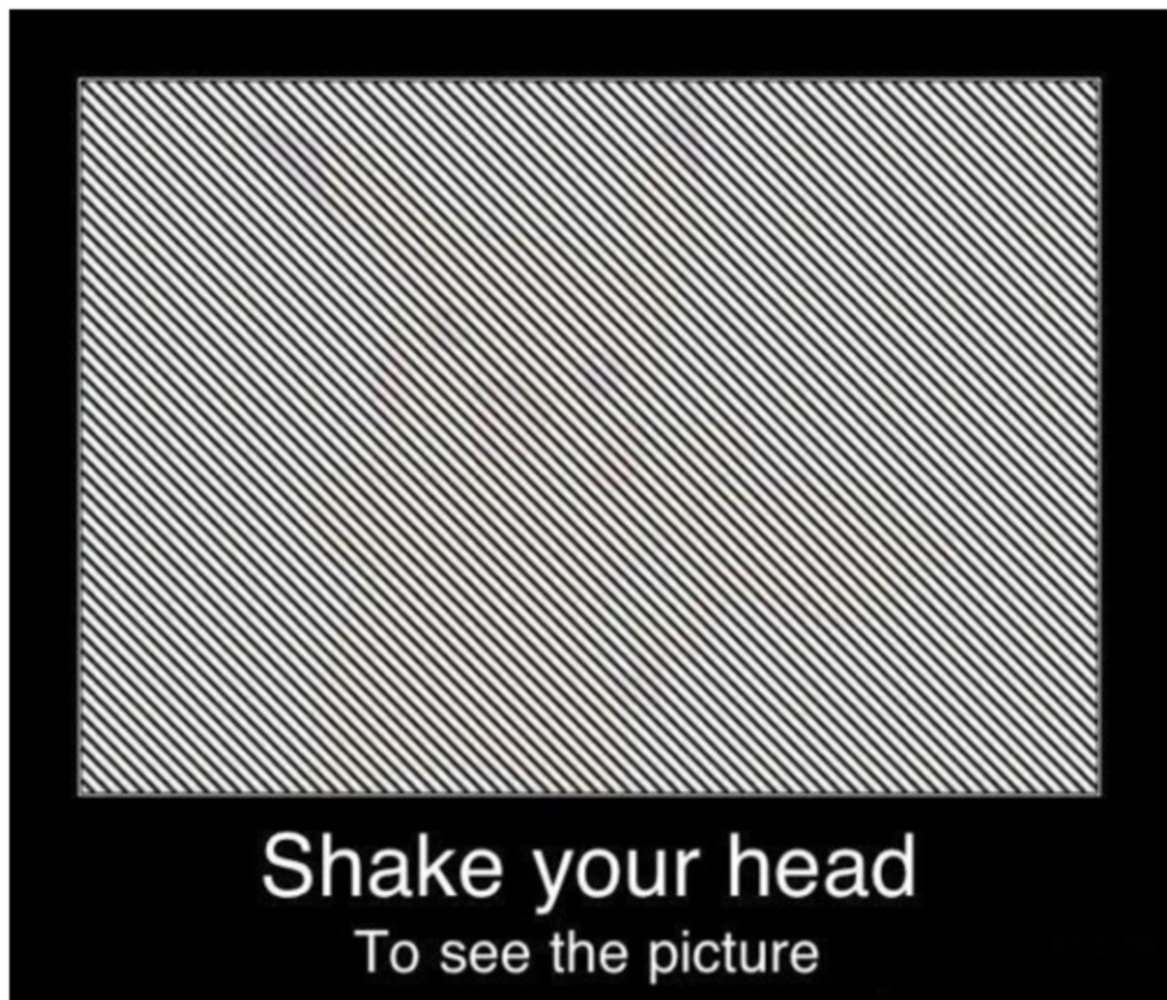 Shake your head optical illusion.thumb
