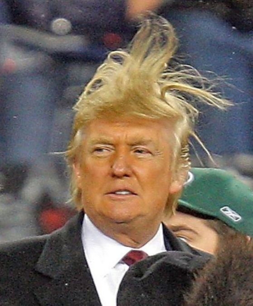 Trump hair.thumb