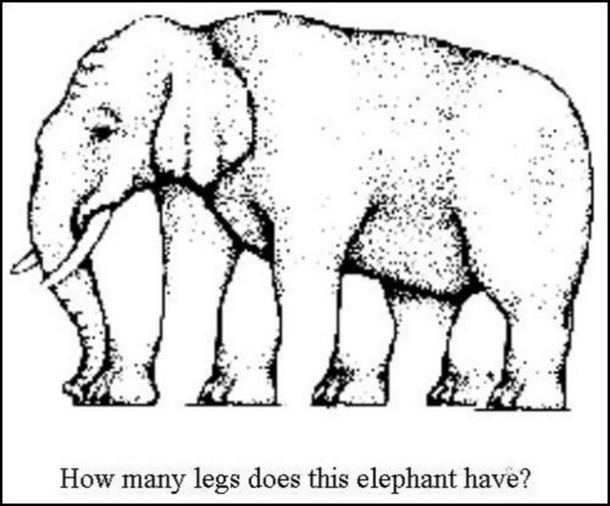 Elephant legs optical illusion.thumb