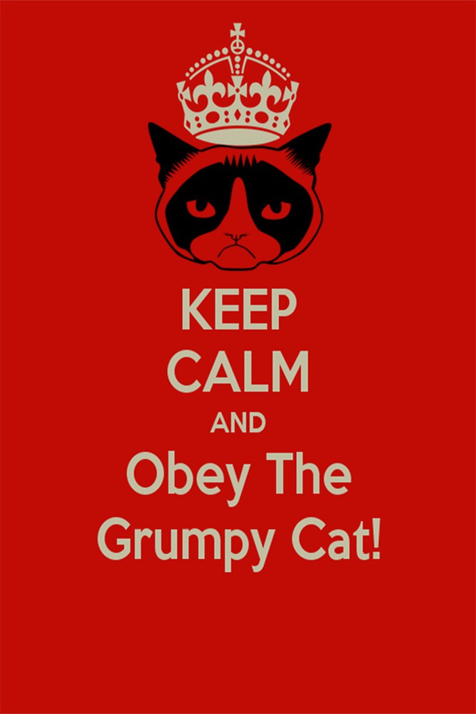 Keep calm kittens.thumb